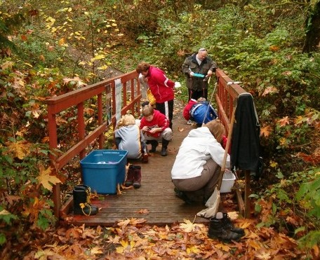 Studying aqutic insects during field trip